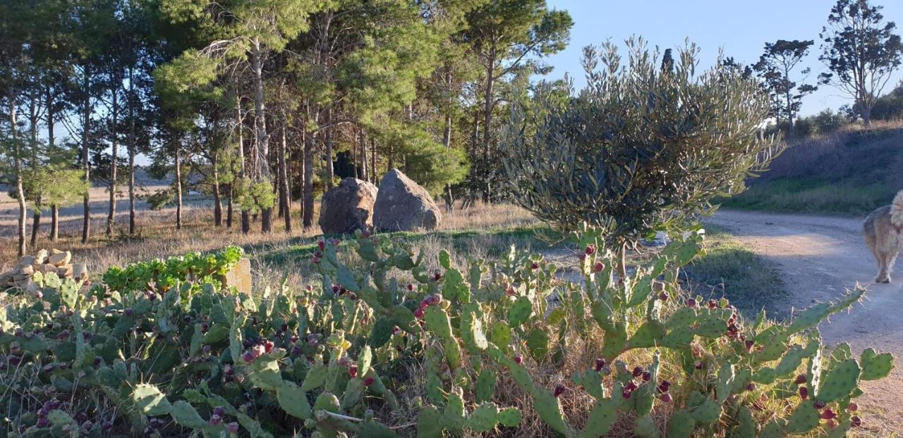 El Molino De Arriba Villa Níjar Exteriör bild
